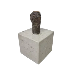 Türstopper Beton-aRT <br> Rhododendron